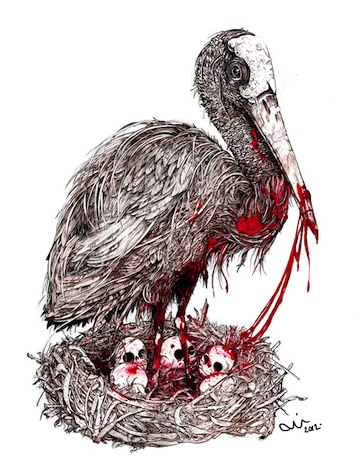 Stork